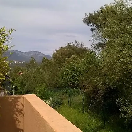 Flora
